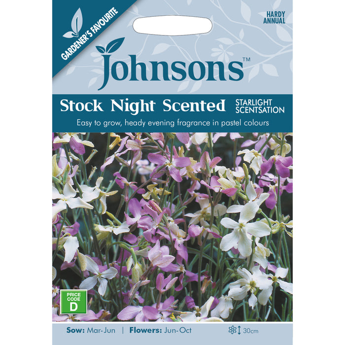 Flowers Stock Night Scented Starlight Scentsation