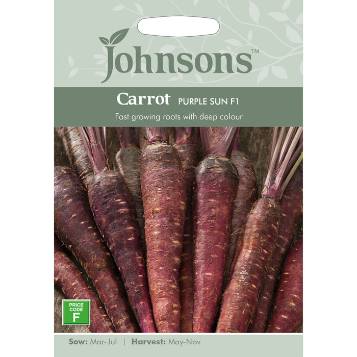 Vegetables Carrot Purple Sun F1