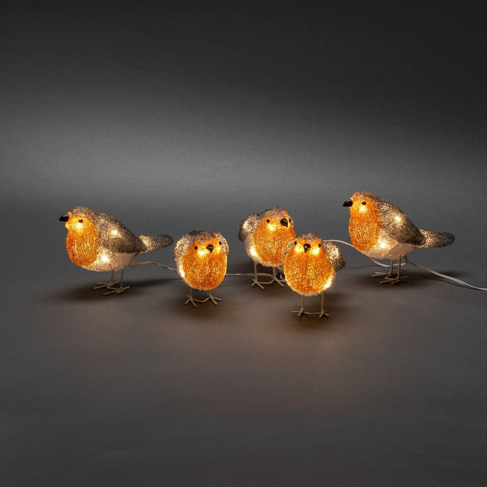LED String Lighting Acrylic Robins 5 Piece Set