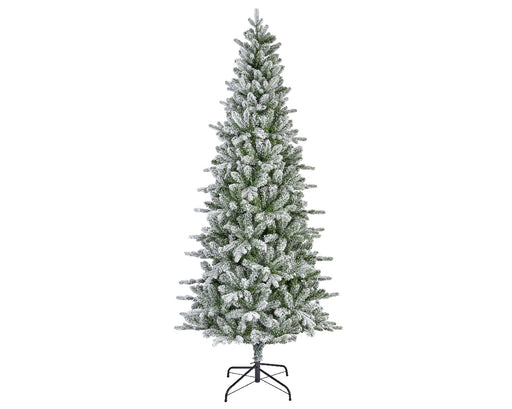 Everlands Killington Fir Frosted 6ft (180cm)