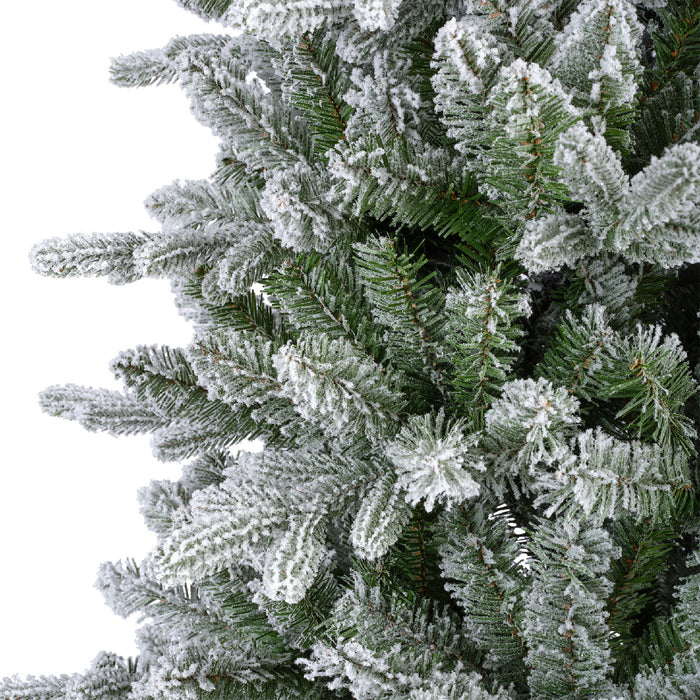 Everlands Killington Fir Frosted 6ft (180cm)