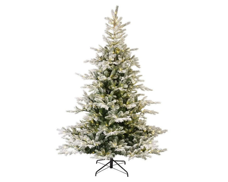 Everlands Snowy Grandis Fir - Pre-Lit 7ft (210cm)