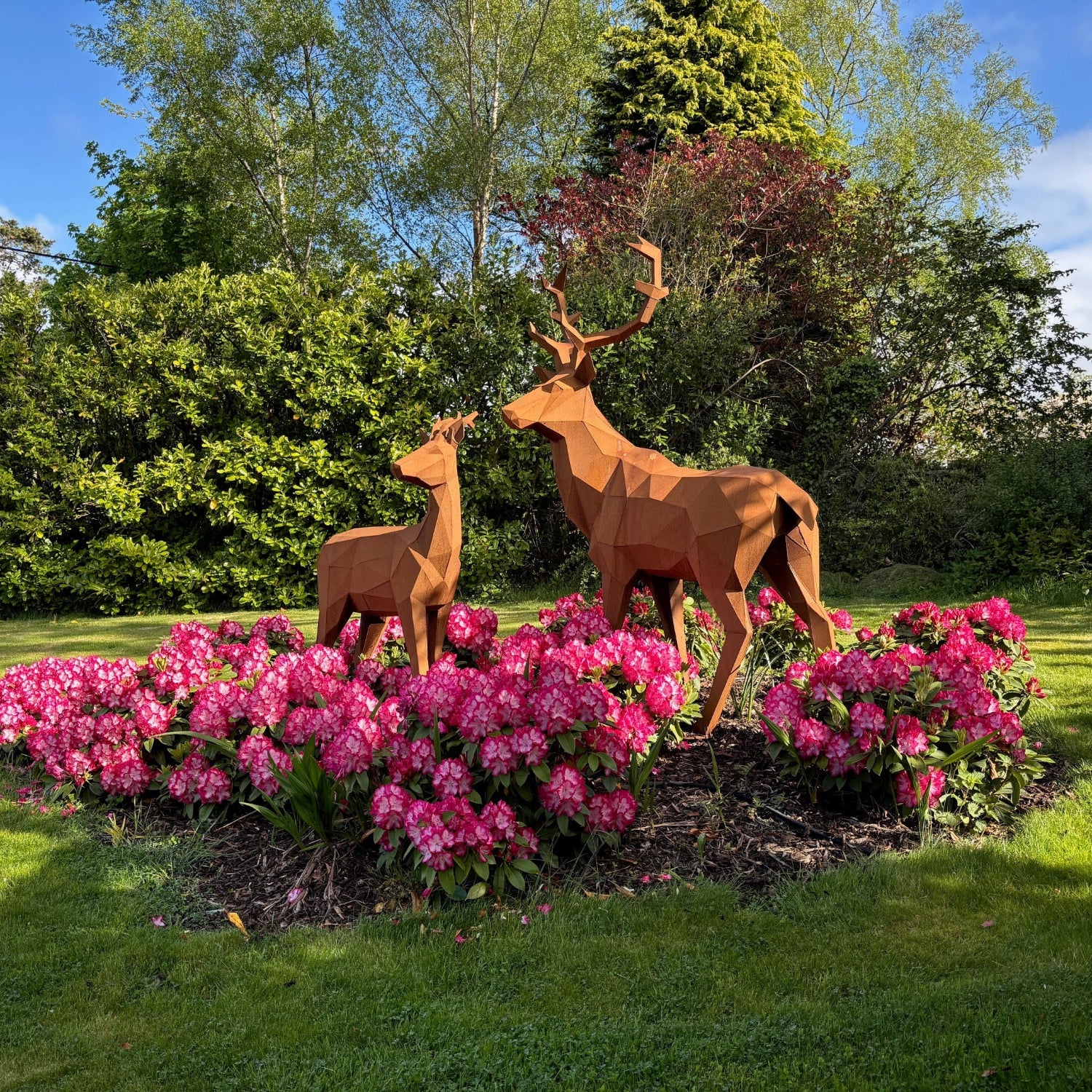 Mid Ulster Garden Centre