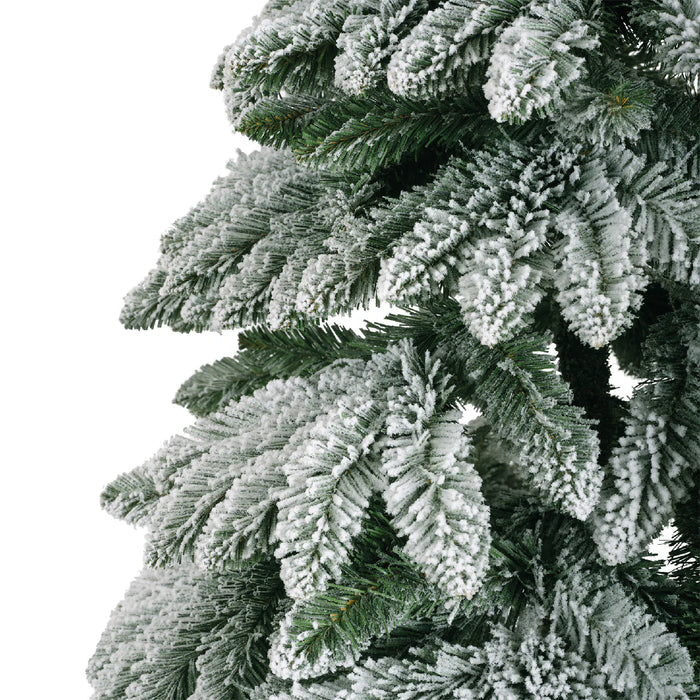 Everlands Snowy Tora Pine 6ft (180cm)