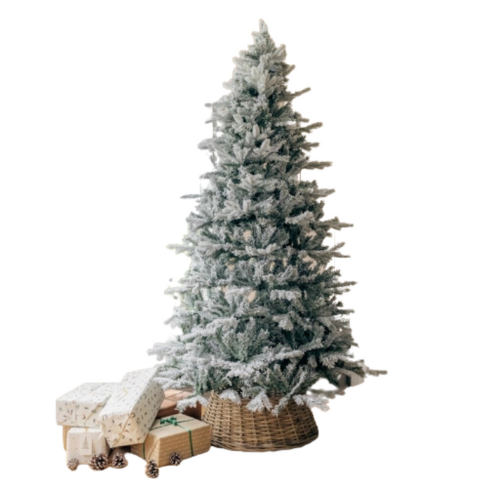 Everlands Frosted Vermont Spruce 240cm / 8ft