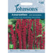 Flowers Amaranthus - Love Lies Bleeding