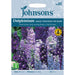 Flowers Delphinium Magic Fountains The Blues