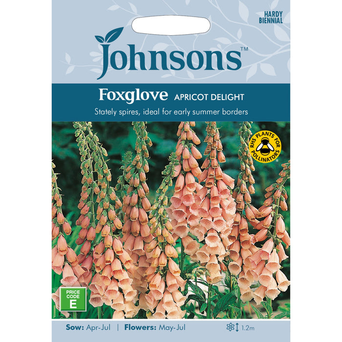 Flowers Foxglove Apricot Delight