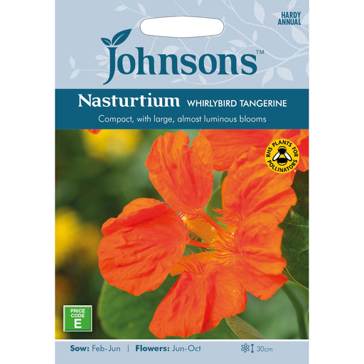 Flowers Nasturtium Whirlybird Tangerine