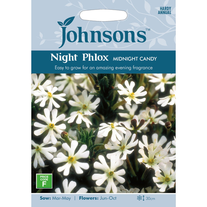 Flowers Night Phlox Midnight Candy