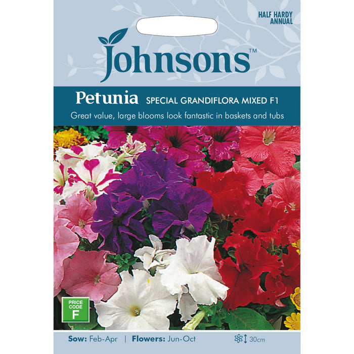 Flowers Petunia Special Grandiflora Mixed F1