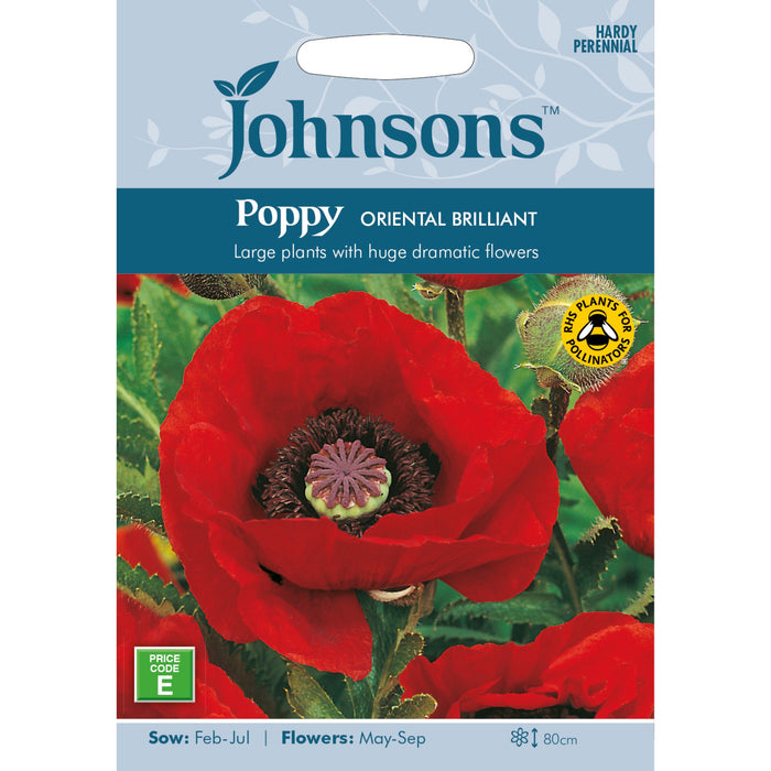 Flowers Poppy Oriental Brilliant 