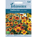 Flowers Rudbeckia Rustic Dwarf