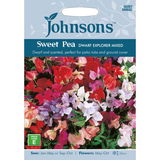 Flowers Sweet Pea Dwarf Explorer Mixed