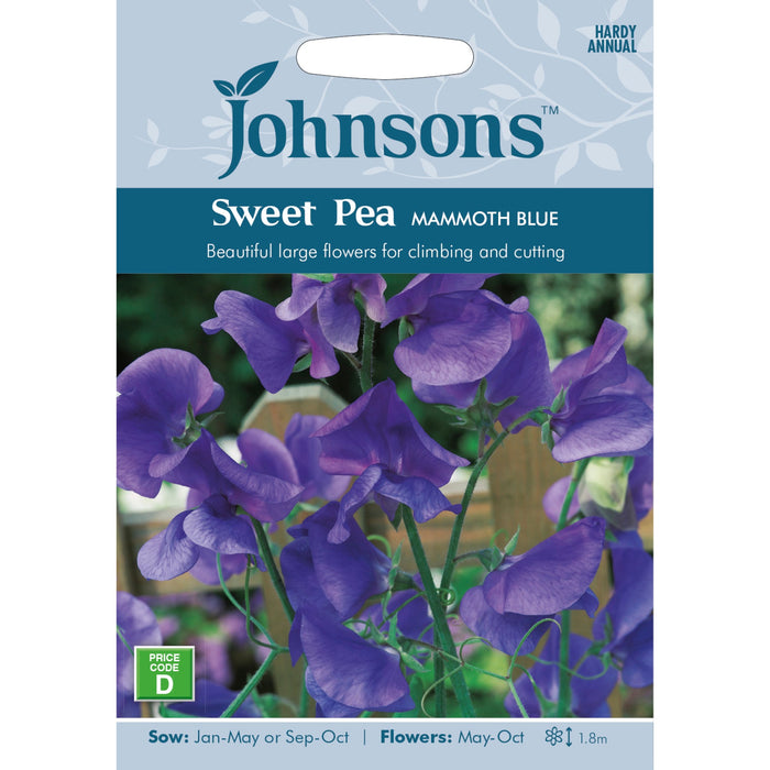 Flowers Sweet Pea Mammoth Blue