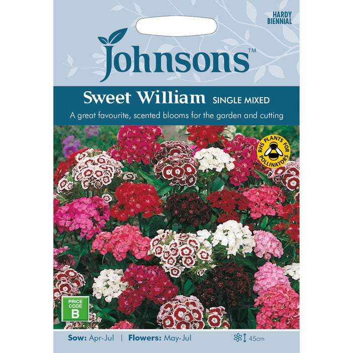 Flowers Sweet William Single Mixed