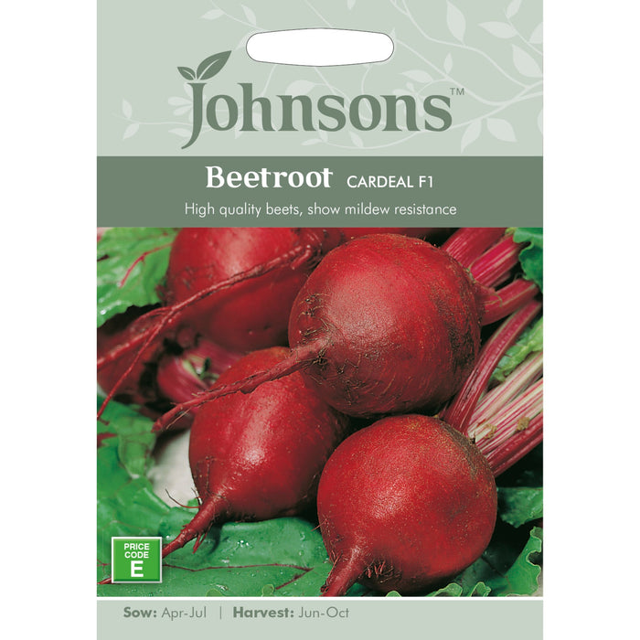 Vegetables Beetroot Cardeal F1