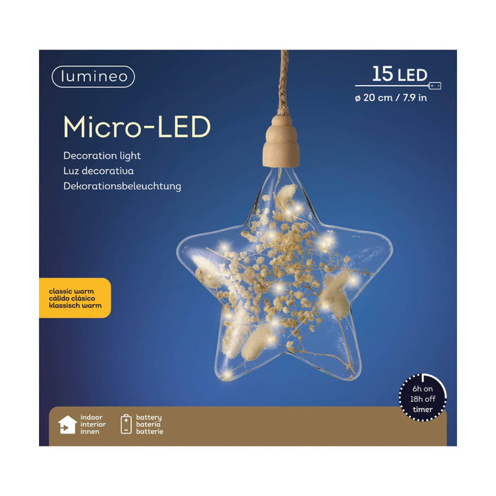 Lumineo Micro LED Floral Star Static Lights Indoor (Diametre 20cm)