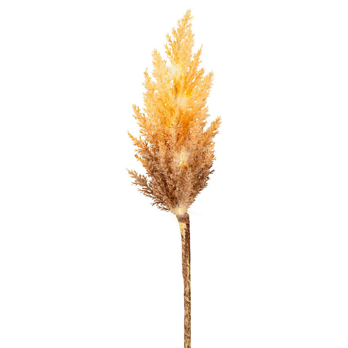 Lumineo LED Pampas Grass Warm White (12 Lights)