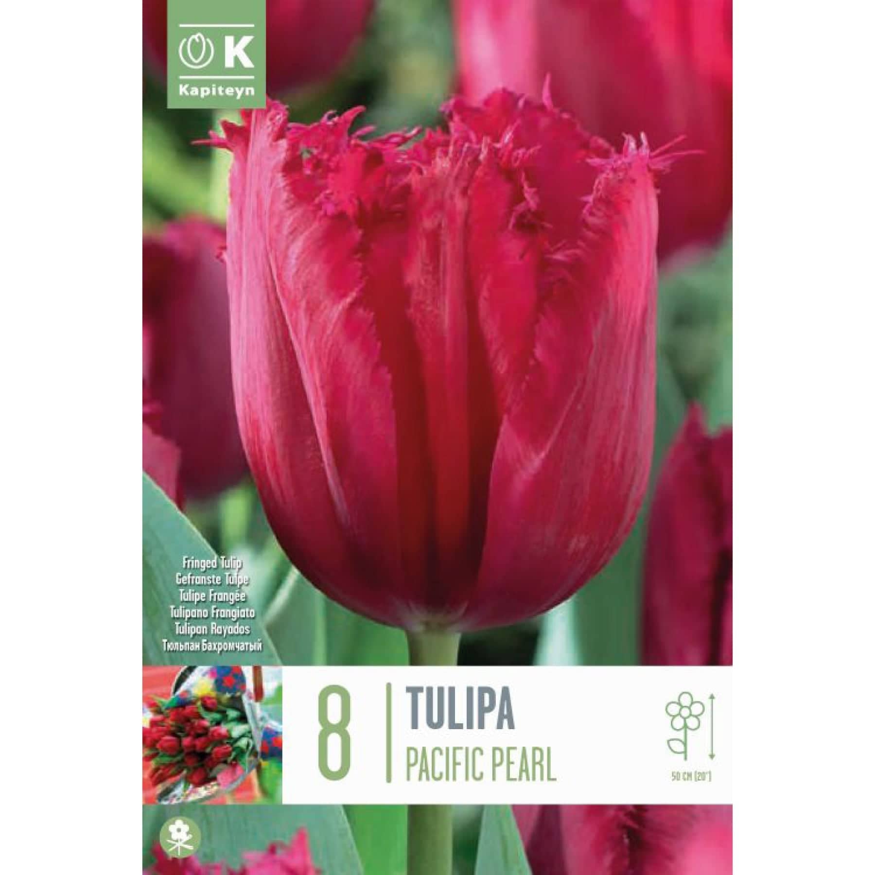 Tulipanes Artificiales – City Outlet