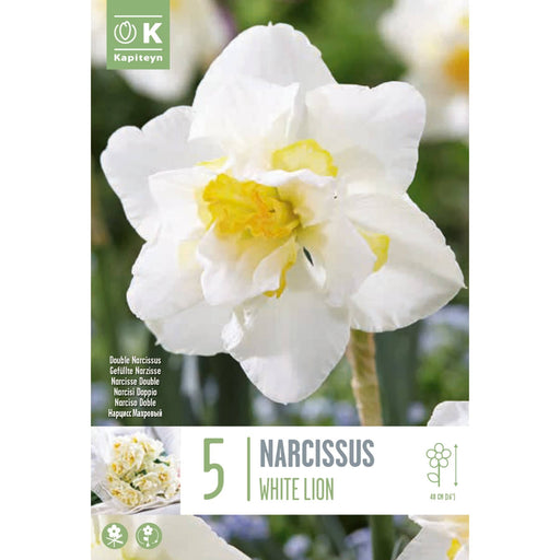  Narcissus Double White Lion (x5 Bulbs)