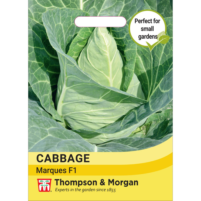 Cabbage Marques F1 