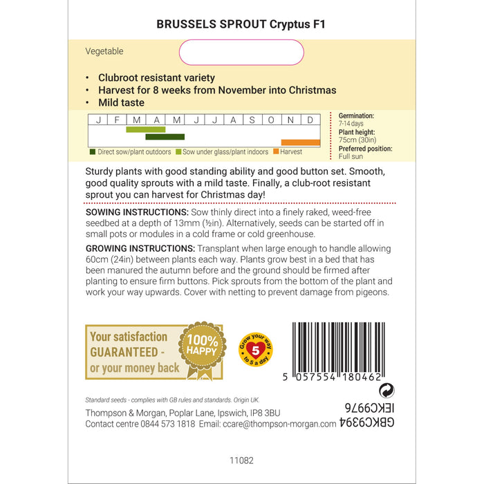 Brussels Sprout Cryptus F1