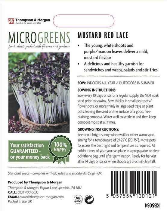 Thompson & Morgan (Uk) Ltd Gardening Thompson & Morgan Microgreens Mustard Red Lace