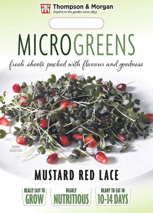 Thompson & Morgan (Uk) Ltd Gardening Microgreens Mustard Red Lace