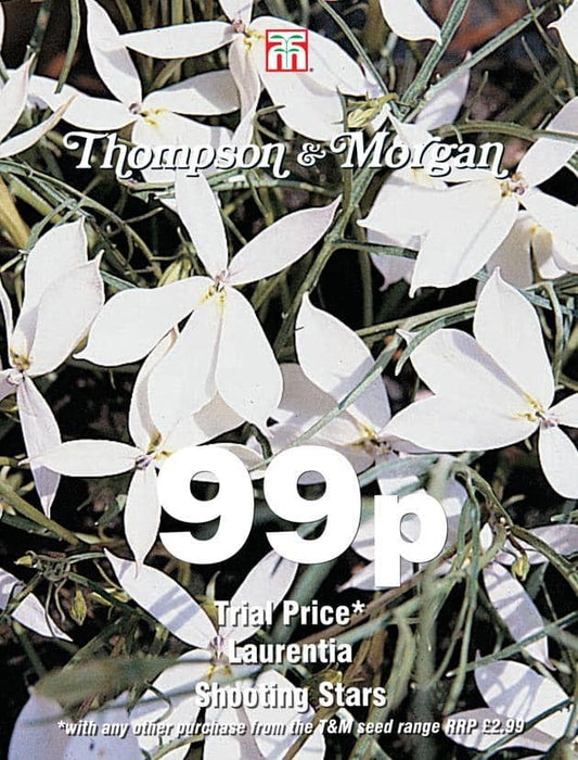 Thompson & Morgan (Uk) Ltd Gardening Laurentia Shooting Stars