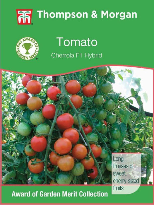 Thompson & Morgan (Uk) Ltd Gardening Tomato Cherrola F1