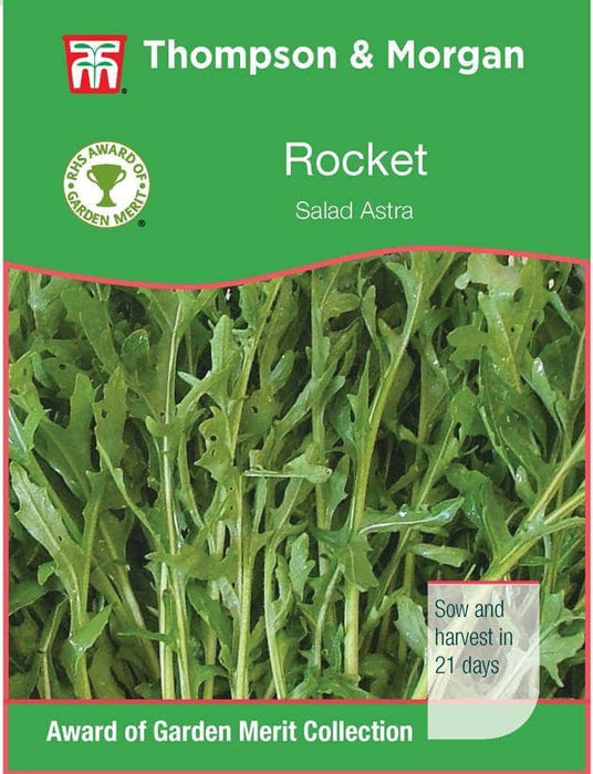 Thompson & Morgan (Uk) Ltd Gardening Rocket Astra