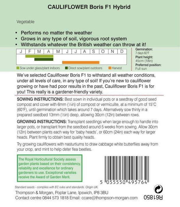 Thompson & Morgan (Uk) Ltd Gardening Thompson & Morgan Cauliflower Boris F1 Hybrid