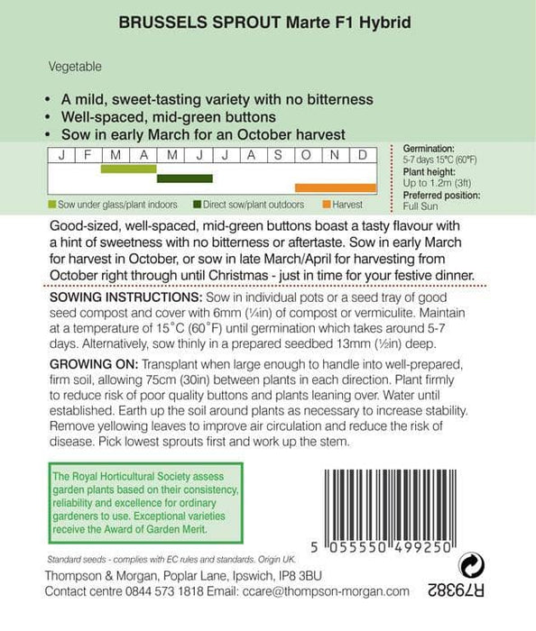 Thompson & Morgan (Uk) Ltd Gardening Thompson & Morgan Brussels Sprout Marte F1 Hybrid