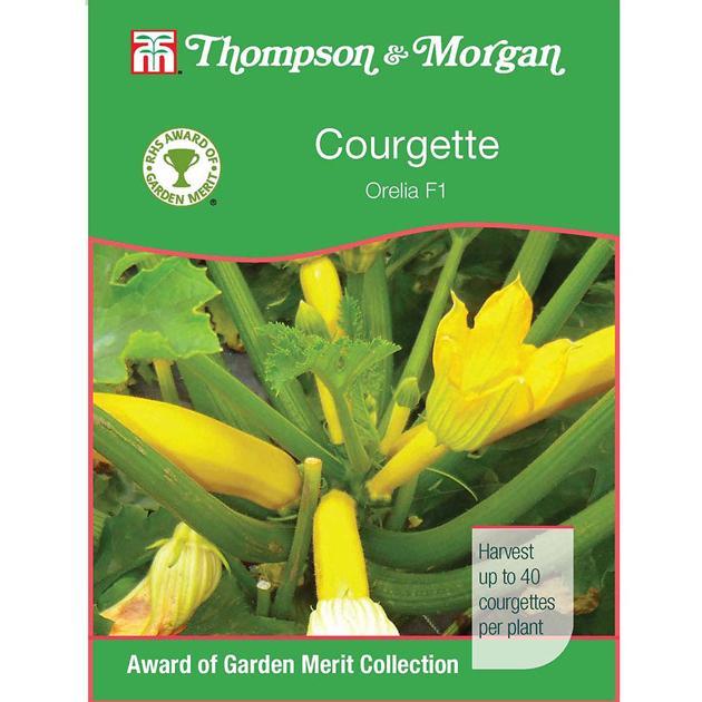 Thompson & Morgan (Uk) Ltd Gardening Courgette Orelia F1 Hybrid