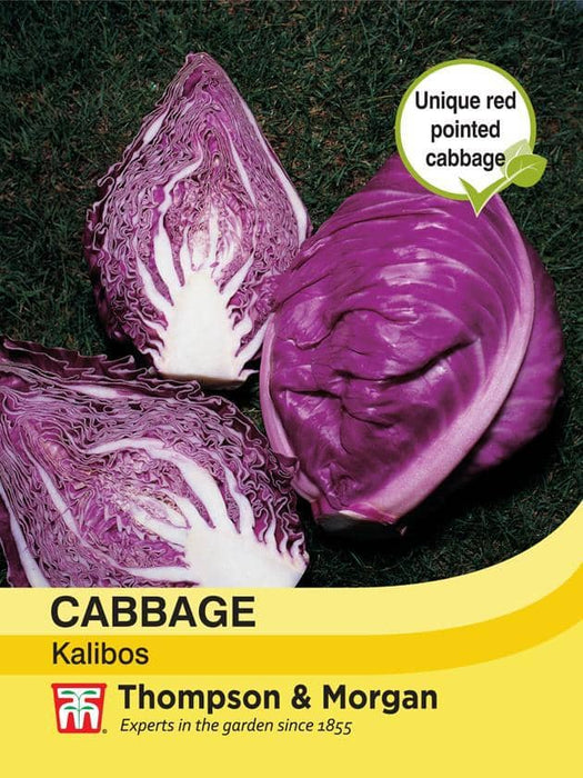 Thompson & Morgan (Uk) Ltd Gardening Cabbage Kalibos (Filderkraut) F1 Hybrid