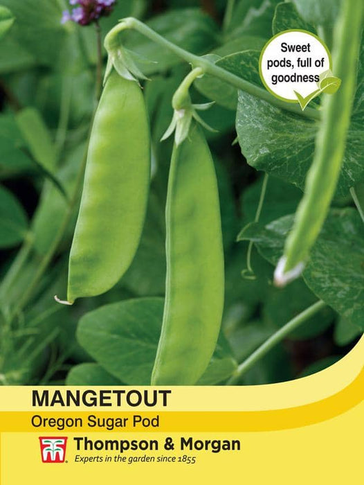 Thompson & Morgan (Uk) Ltd Gardening Mangetout Oregon Sugar Pod