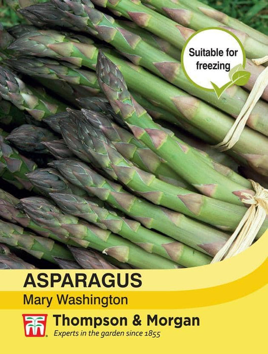 Thompson & Morgan (Uk) Ltd Gardening Asparagus Mary Washington