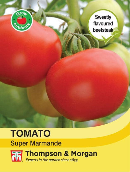 Thompson & Morgan (Uk) Ltd Gardening Tomato Super Marmande