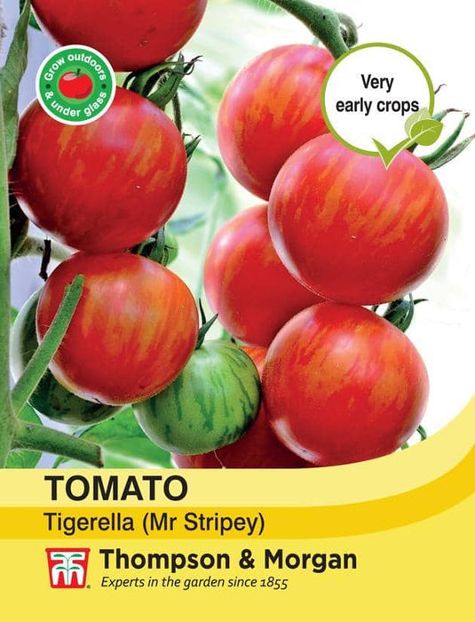 Thompson & Morgan (Uk) Ltd Gardening Tomato Tigerella (Mr Stripey)