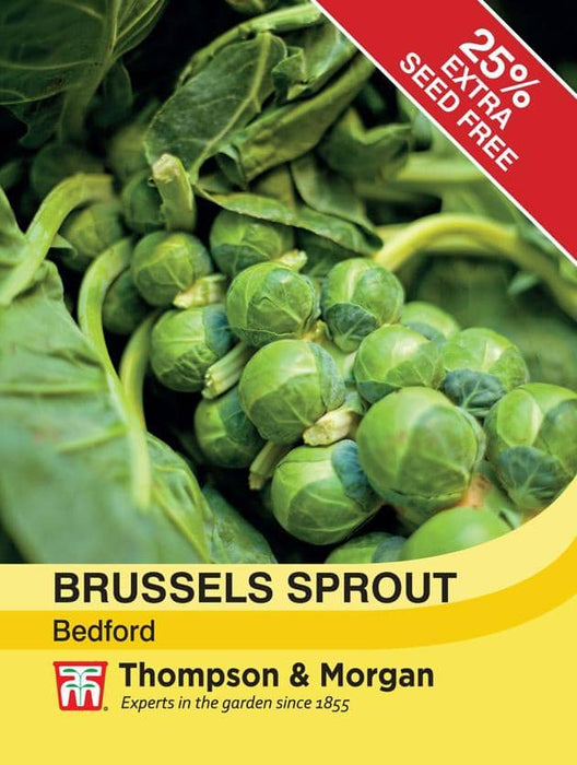 Thompson & Morgan (Uk) Ltd Gardening Brussels Sprout Bedford