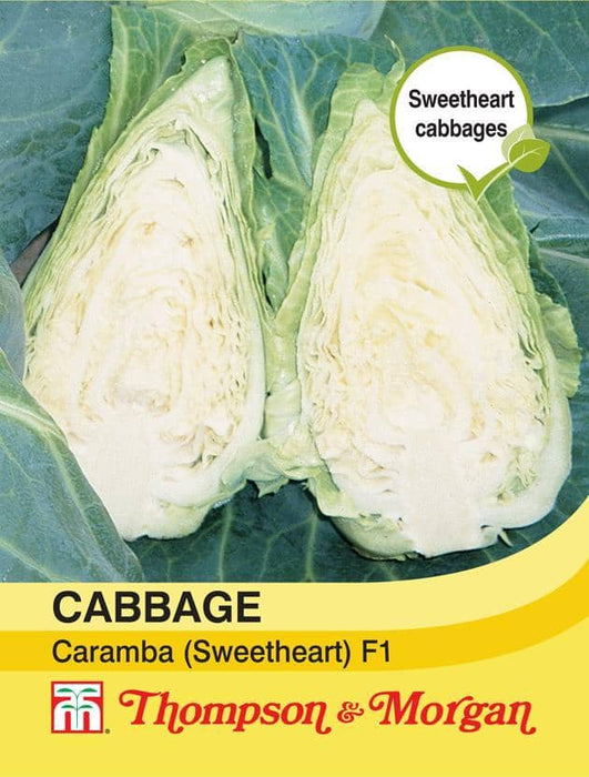 Thompson & Morgan (Uk) Ltd Gardening Cabbage Caramba F1 Hyb.