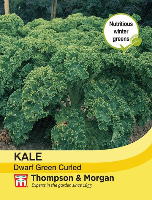 Thompson & Morgan (Uk) Ltd Gardening Kale Dwarf Green Curled