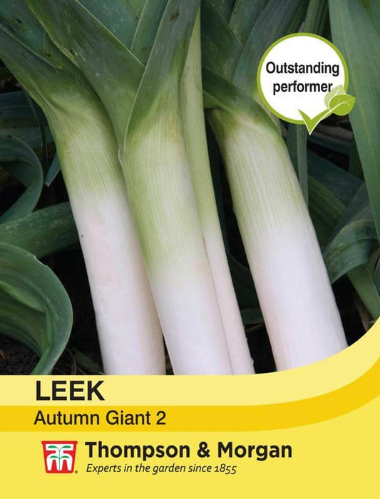 Thompson & Morgan (Uk) Ltd Gardening Leek Autumn Giant 2