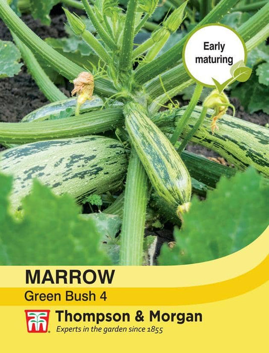 Thompson & Morgan (Uk) Ltd Gardening Marrow Green Bush