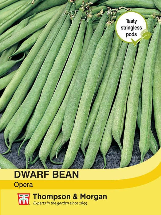 Thompson & Morgan (Uk) Ltd Gardening Dwarf Bean Opera