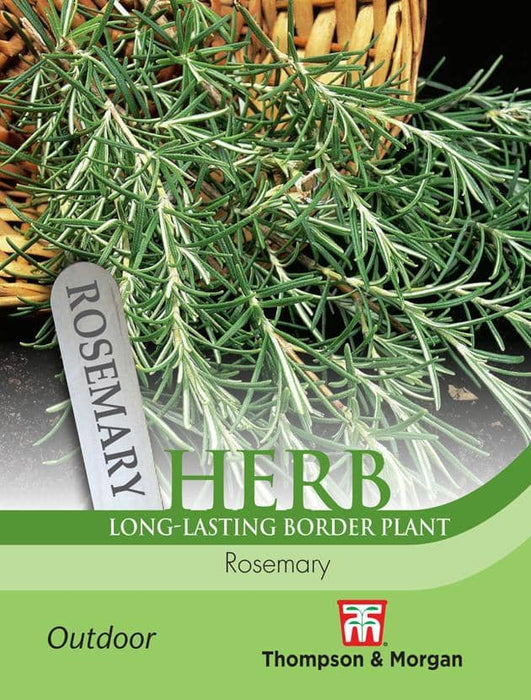 Thompson & Morgan (Uk) Ltd Gardening Herb Rosemary
