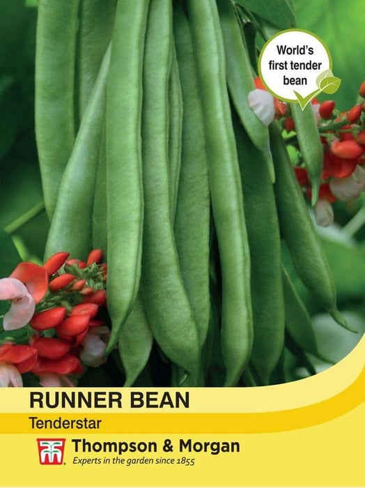 Thompson & Morgan (Uk) Ltd Gardening Runner Bean Tenderstar