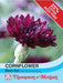 Thompson & Morgan (Uk) Ltd Gardening Cornflower Black Ball