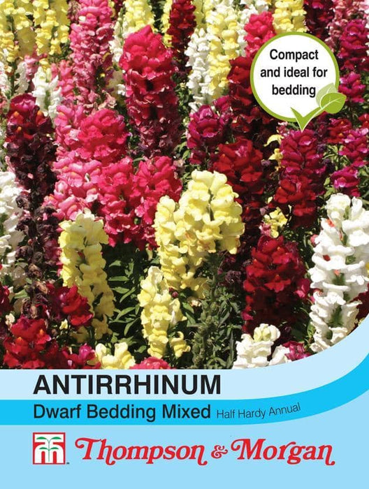 Thompson & Morgan (Uk) Ltd Gardening Antirrhinum Dwarf Bedding Mixed